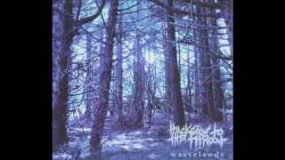 Hacksaw to the Throat - Whisper Perfect Lies
