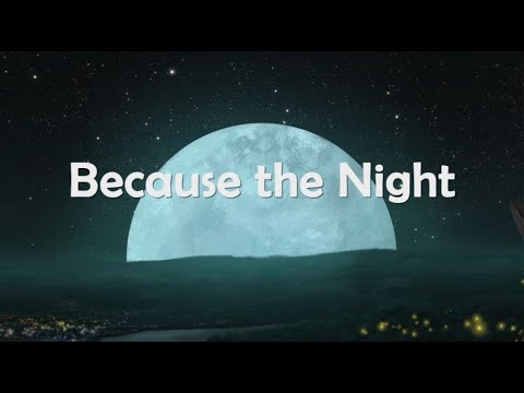 Paratone - Because The Night (Lyrics)