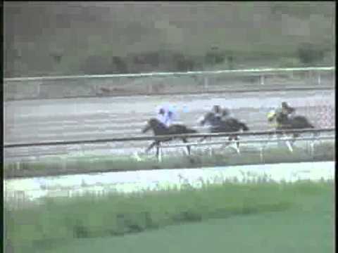 1ERA CARRERA SAB 01 DICIEMBRE LA RINCONADA AUDIOHIPISMO