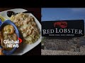 Red Lobster's 