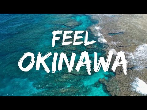 武道学科 三線メドレー｜歌なし作業用BGM 【沖縄の歌】okinawan songs
