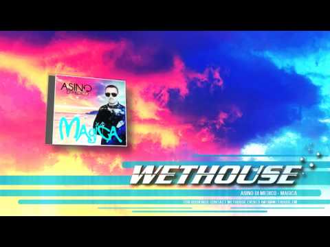 Asino di Medico - Magica