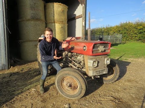 My Old Tractor MASSEY FERGUSON 135!