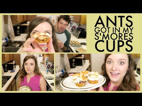 Easy Mini S'Mores Cups Recipe