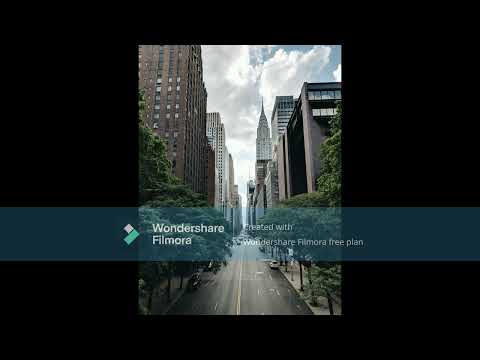 PhillyBlunt concrete jungle