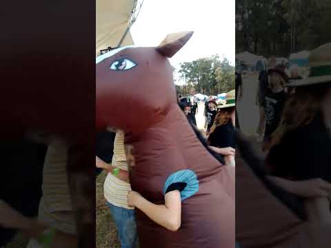 Brutus at DDS 2 act 12- Decapitated Chooks 