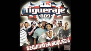 TIGUERAJE 809 SEGUIMO EN BUKEDA - 3 PROBLEMAS FT SAWEZO