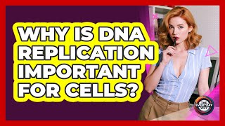 Why Is DNA Replication Important For Cells? - The Everyday Why