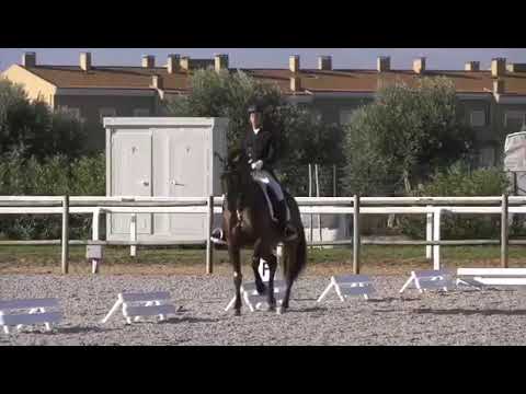 João Torrão & Equador MVL - Inter A - 2018-11-06 CDE Golegã - 67.30%