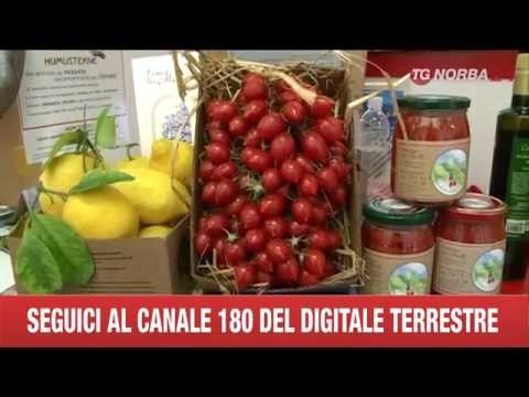 MILANO GUARDIA PERTICARA