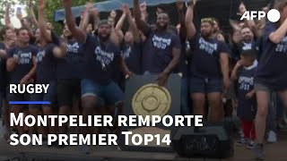 Top 14: Montpellier fête ses héros sur la Place de la Comédie | AFP