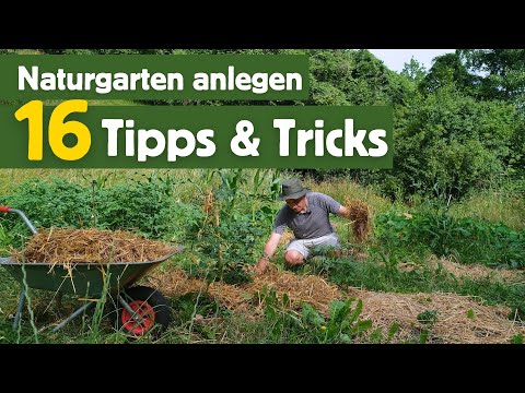 This is a must-have in EVERY natural garden - 16 tips & tricks 💚
