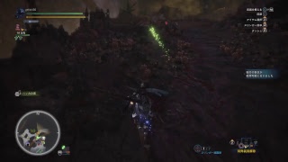 モンスターハンターワールド　ハンマー使い