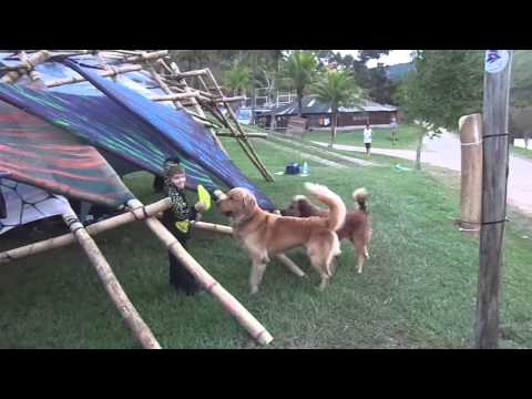 Zyz Connection - Celebratiohm 2015