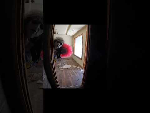 Run Escape Serbian Dancing Lady shorts #parkourpov #serbiandancinglady #shots #phungparkour