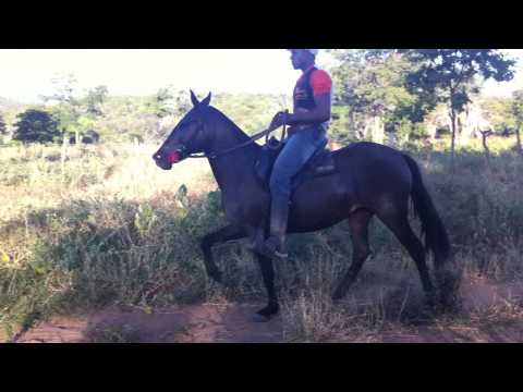 Atlanta do Kelner (Elfo do Porto Azul x Imposição E.A.O.)