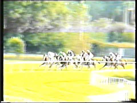 1998 - Tralee - Ruby Stakes - Lil's Boy