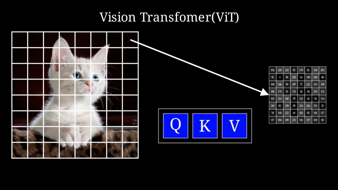 Vision Transformer