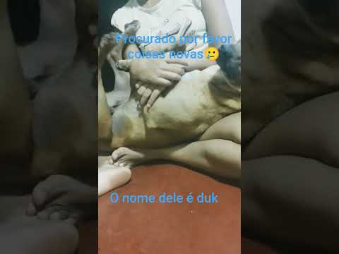 PV Caldas Novas go