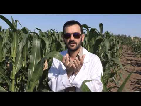 Može bolje ep. 24 22.07.2017. - Primena bioinformatike u poljoprivredi