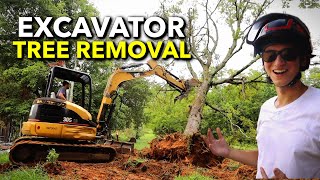 Removing Trees for our Septic Tank Install | Abandoned Shed to Tiny House