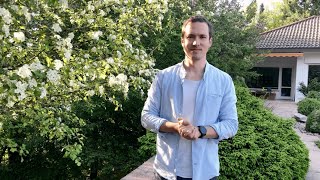 Algenöl und Omega 3 Fettsäuren - Das musst du wissen!