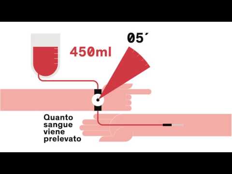 Vermi bianchi sottili in a un gatto Dolce sospensione da vermi per gattini