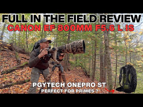 Video thumbnail for Video Review 3