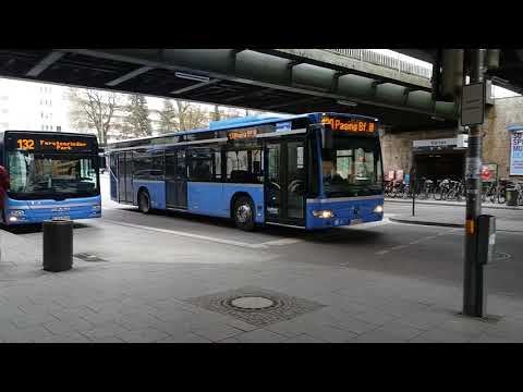 U-Bahn, S-Bahn, Bus, Meridian und Bob in München Harras