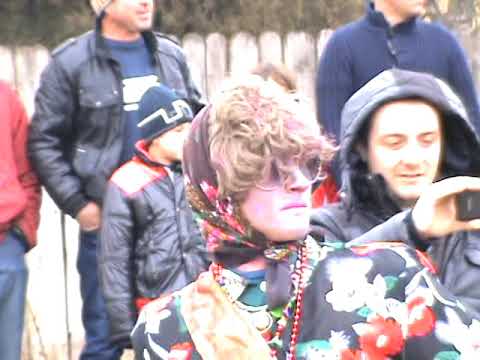 IANA - VASLUI .PLUGUSORUL