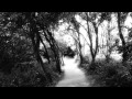 The Last Rose of Summer - Tom Waits