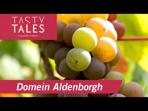 DOMEIN ALDENBORGH (Eys) • Premium quality natural wines from the Netherlands  • Tasty Tales