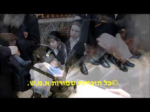 Belzer Rebbe At Shema Leining The Evening Before Te Bris Of His great Grandson - 3 Menachem Av 5781