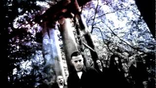 Scream Silence - Living in the Rose