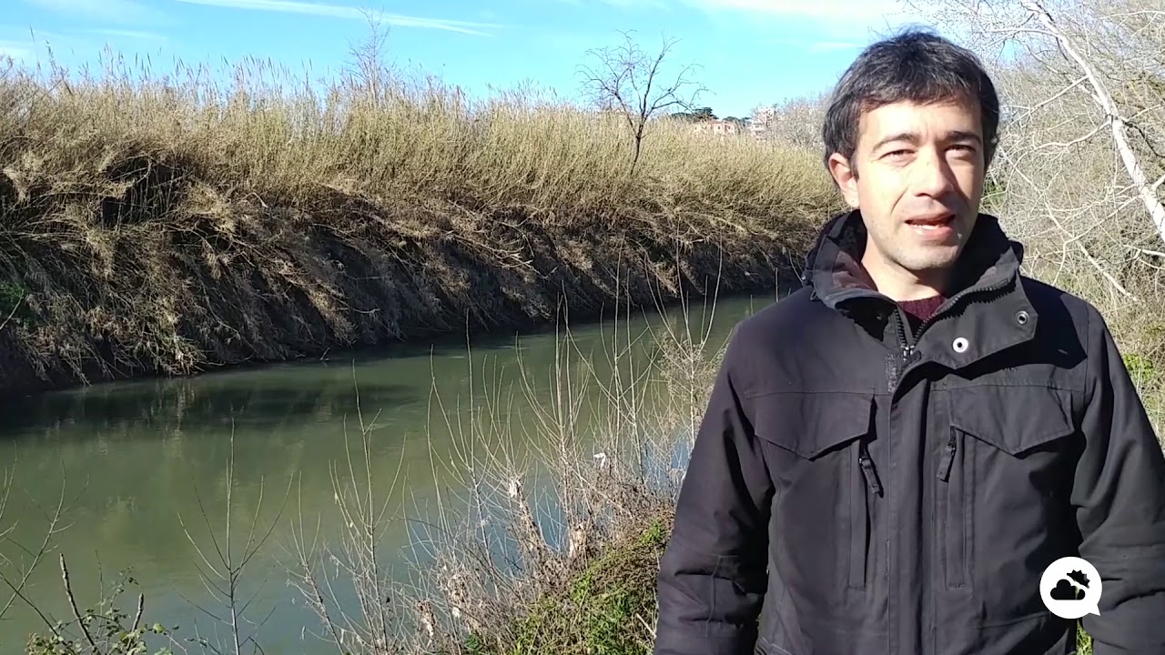 youtube video id=vJHp81gCkcg