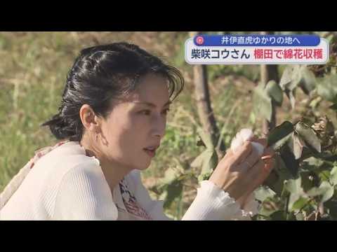 YouTube Video 俳優・柴咲コウさんが浜松市の棚田を訪れ綿花の収穫などを体験　２０１７年の大河ドラマで井伊直虎役を務めた縁