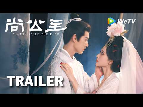 【Trailer】《尚公主》Tigers Sniff the Rose｜生死相依预告 扶摇直尚同进同退生死相依 ｜孟子义、李昀锐