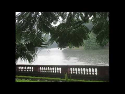 Mùa Thu Trong Mưa - Bằng Kiều