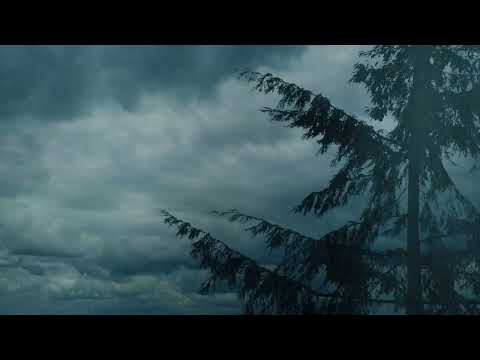 A Solitary Mans Soul - Lars Eriksson