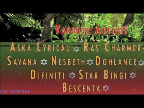 Star Bingi -Hot second