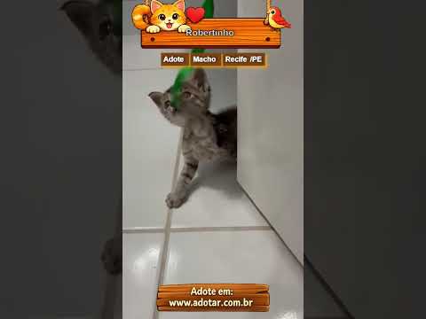 Vídeo de Robertinho