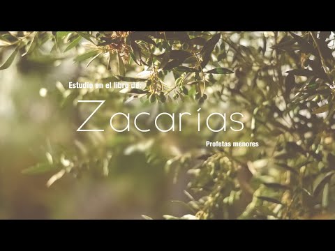 21 Profetas menores | Zacarías 9-11