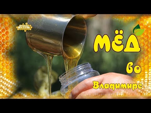 МЁД С ЧАСТНОЙ ПАСЕКИ. МЁД ВО ВЛАДИМИРЕ. НАТУРАЛЬНЫЙ ЛИПОВЫЙ МЁД.