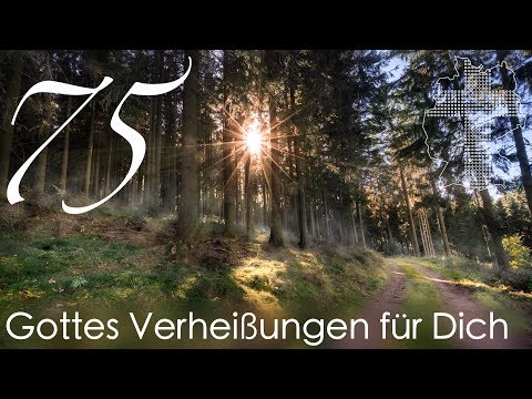 Gottes Verheißungen für Dich - Kolosser 1,12 | Videokalender 75/365 - Deutschland braucht JESUS