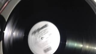 The Ananda Project - Cascades Of Colour