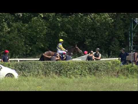Galopprennbahn Dresden - 25.08.2019 - Rennen 5