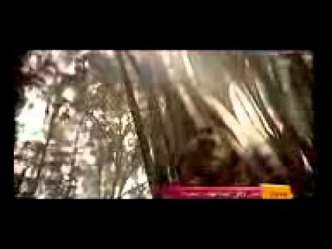 النجمه سميرة سعيد كلنا أنسان