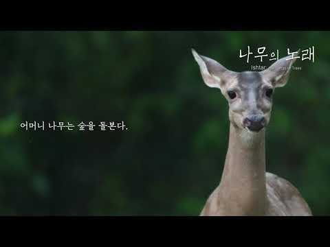 [Trailer] 나무의 노래 Ishtar; the Songs of Trees