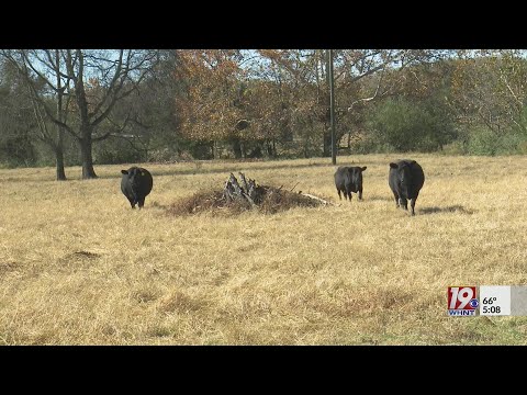 Drought Conditions Prompt Federal Funding | Nov. 3, 2023 | News 19 at 5:00