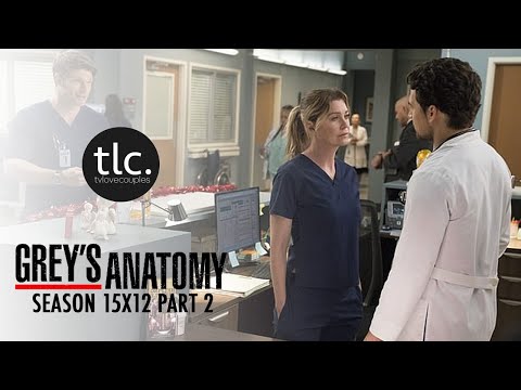 Greys Anatomy Meredith & Andrew DeLuca (MerLuca) Season 15-12 2/3